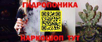 дживик Камышлов