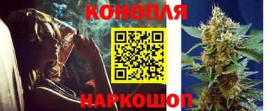 дживик Камышлов